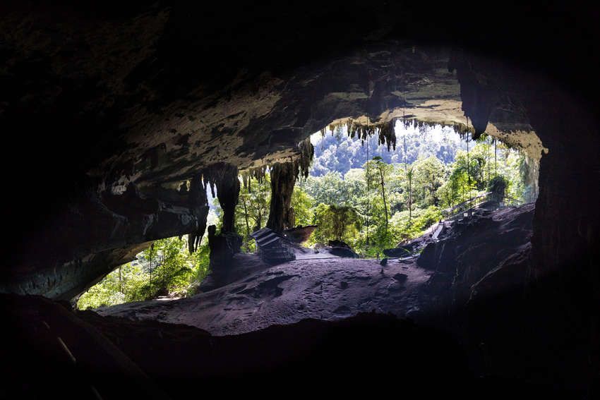 Gunung Mulu Nationaal Park